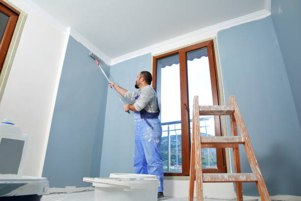 Best Mold Removal for HVAC Installations  in Waimea, HI