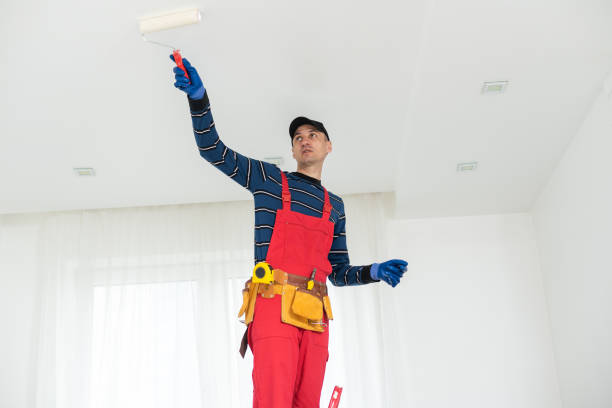 Trusted Waimea, HI Mold Removal Experts