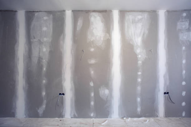 Best Mold Damage Restoration  in Waimea, HI